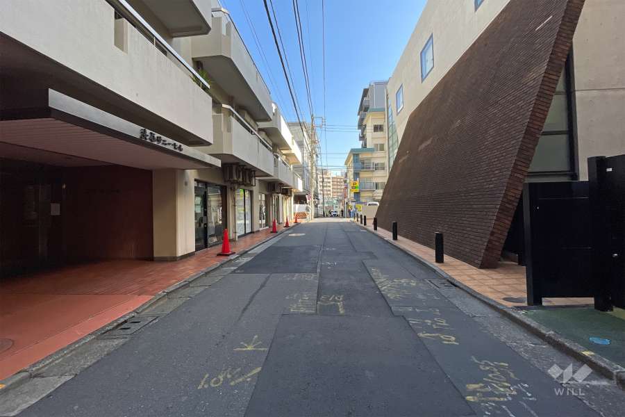 敷地南西側の前面道路(北西側から)