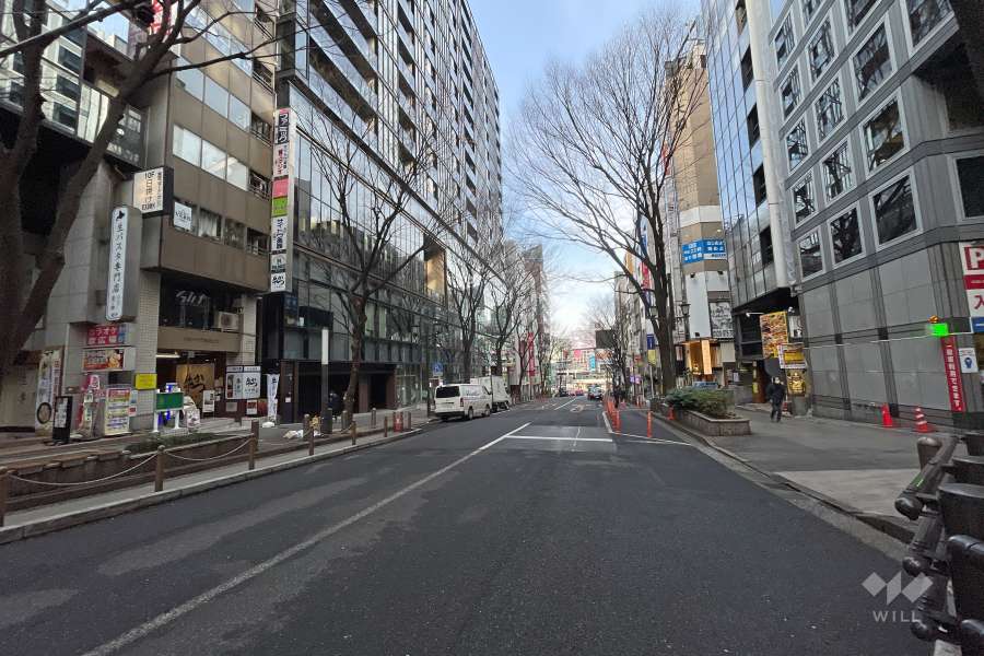 敷地北側の前面道路（東側から）