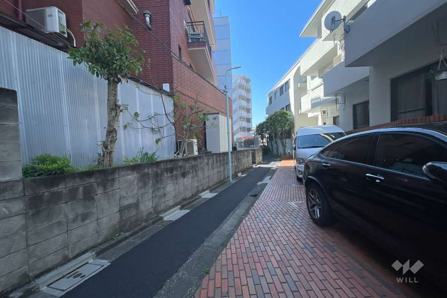 敷地南東側の前面道路（北東側から）