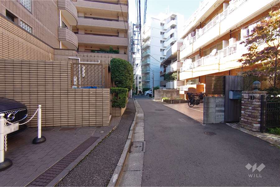 敷地北東側の前面道路（南東側から）