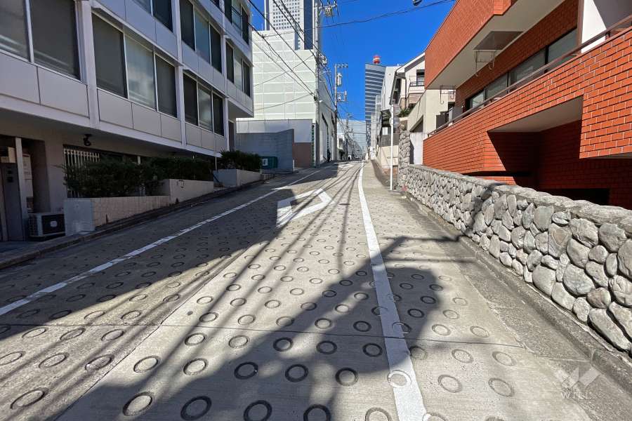 敷地南西側の前面道路（南東側から）