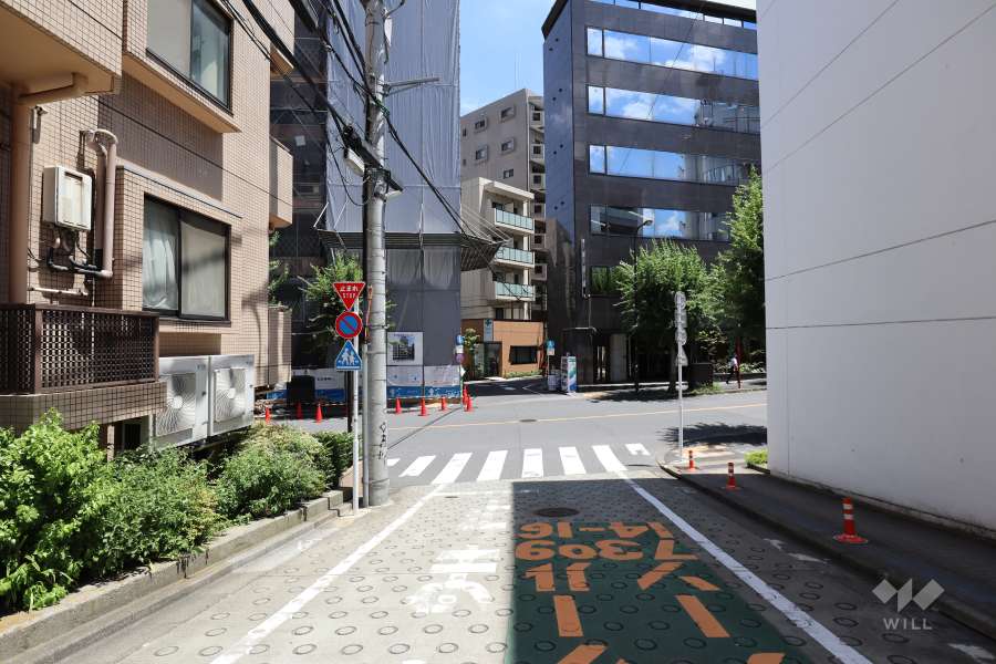 敷地南側の前面道路（西側から）