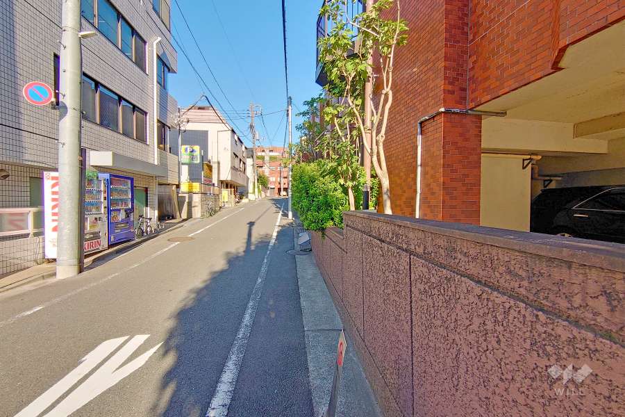 敷地北側の前面道路（西側から）