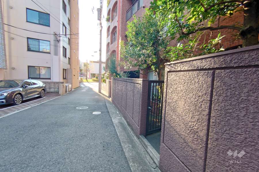 敷地南側の前面道路（東側から）