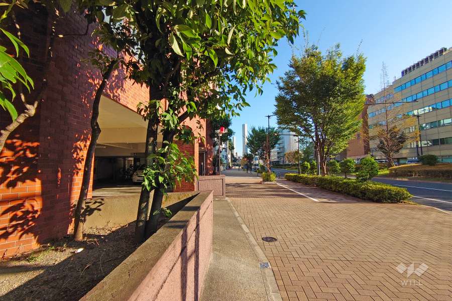 敷地西側の前面道路（北側から）