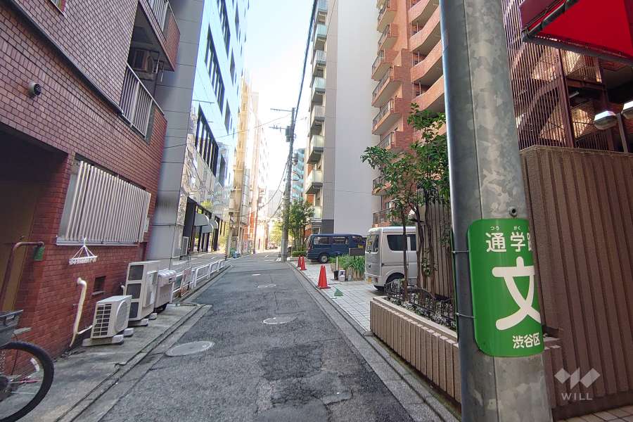 敷地北側の前面道路（西側から）