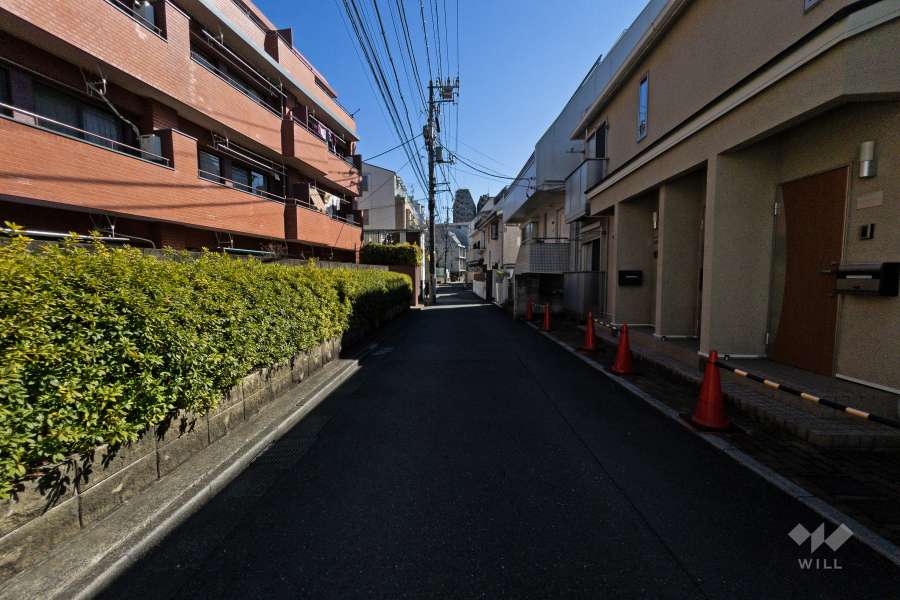 敷地南西側の前面道路（北西側から）