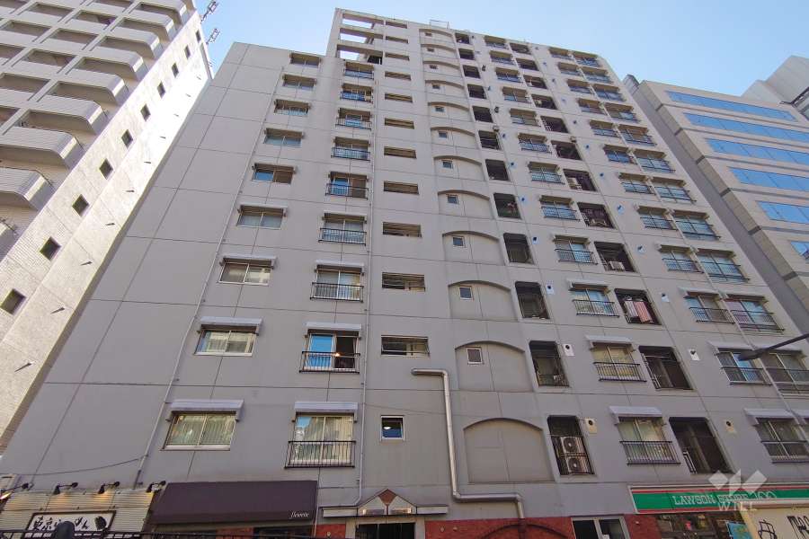 豊栄新都心マンションの外観（北東側から）