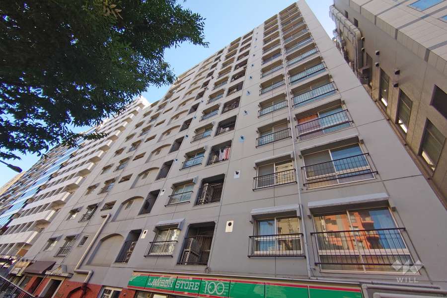 豊栄新都心マンションの外観（北側から）