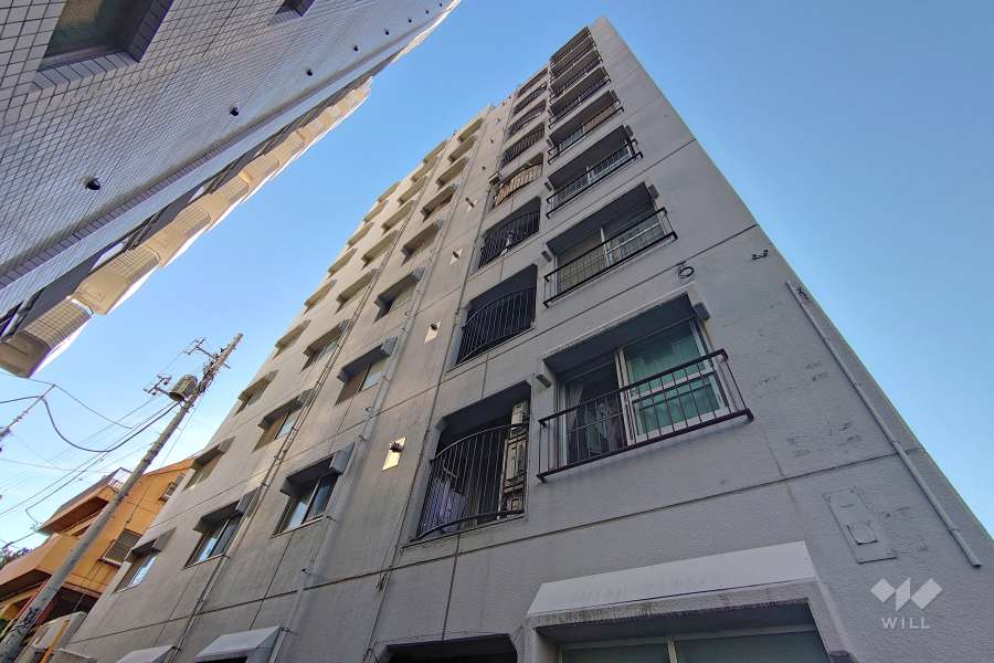 豊栄新都心マンションの外観（南東側から）