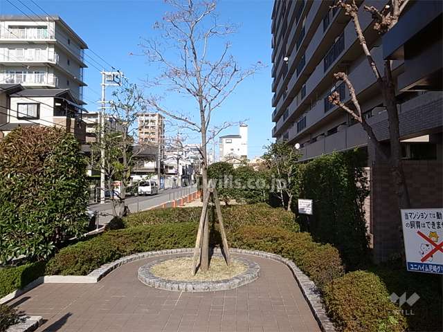 エントランス前のシンボルツリー