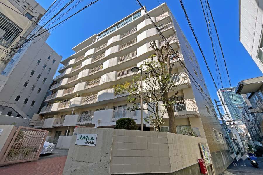 メゾンドール代々木の外観（南東側から）