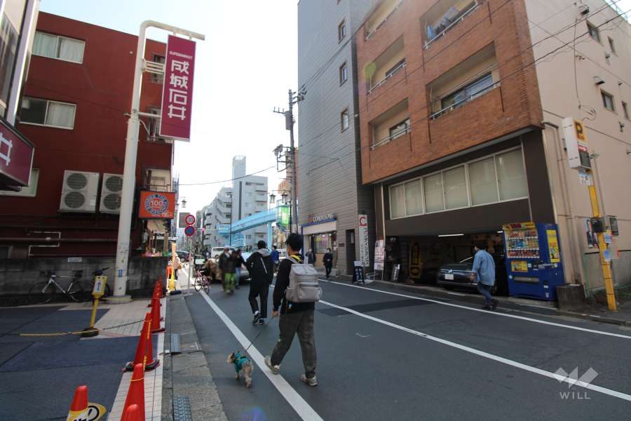 敷地南西側の前面道路（北西側から）