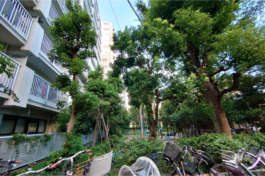 敷地南東側の前面道路（南西側から）