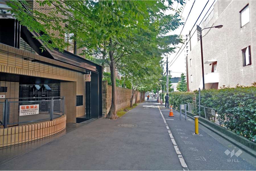 敷地東側の前面道路