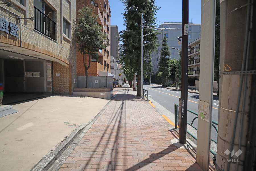 敷地南西側の前面道路