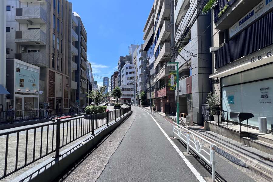 敷地の南東側前面道路（北東側から）