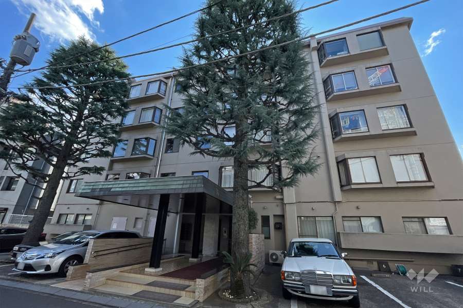 マンション原宿の外観（北東側から）