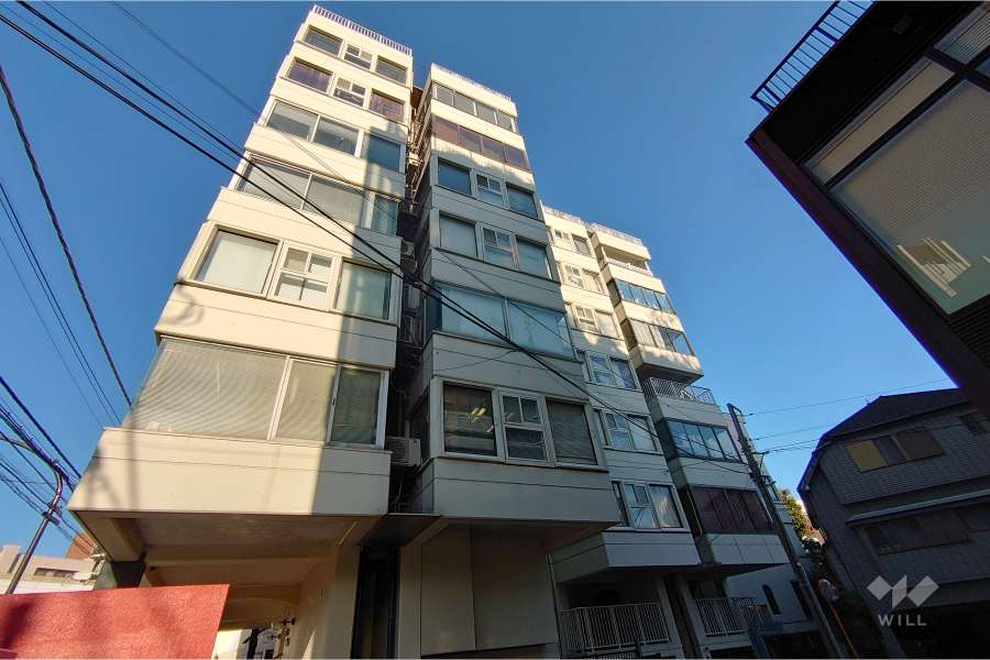 ビラローザの外観（南西側から）