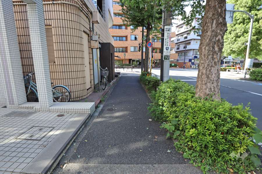 敷地北側の前面道路（東側から）