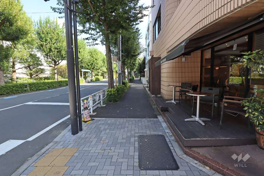 敷地北側の前面道路（西側から）