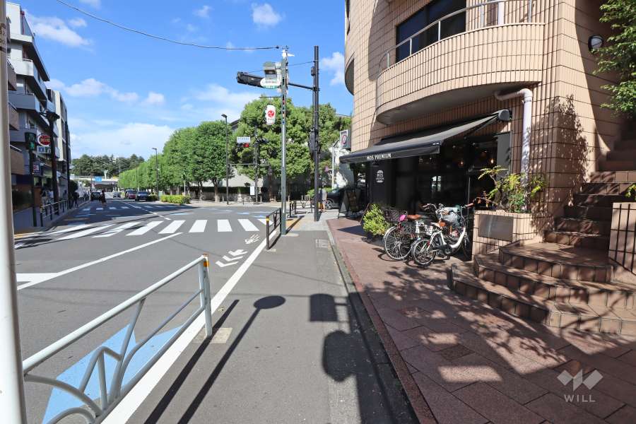 敷地西側の前面道路（南側から）