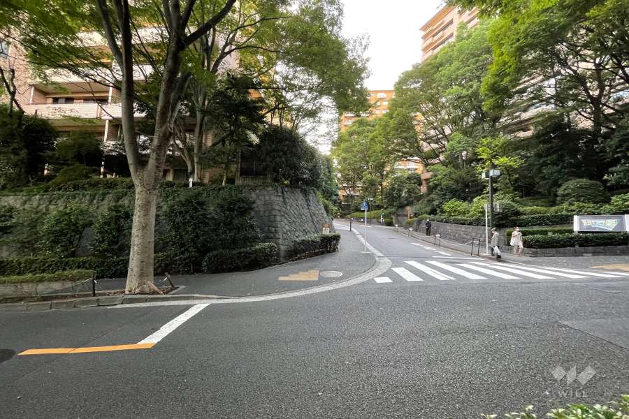敷地南側の前面道路（東側から）