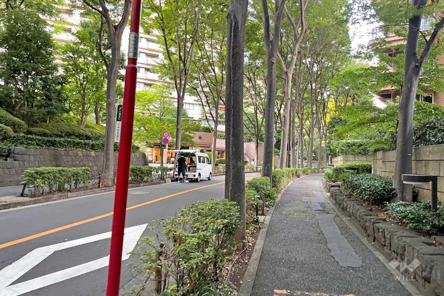敷地東側の前面道路（南側から）