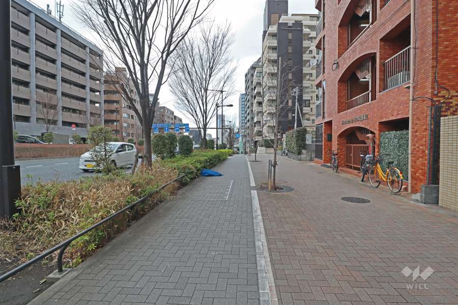 敷地西側の前面道路は山手通りです。