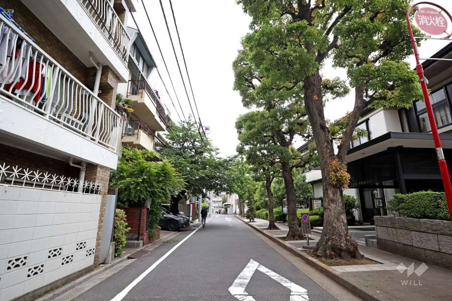 敷地南側の前面道路