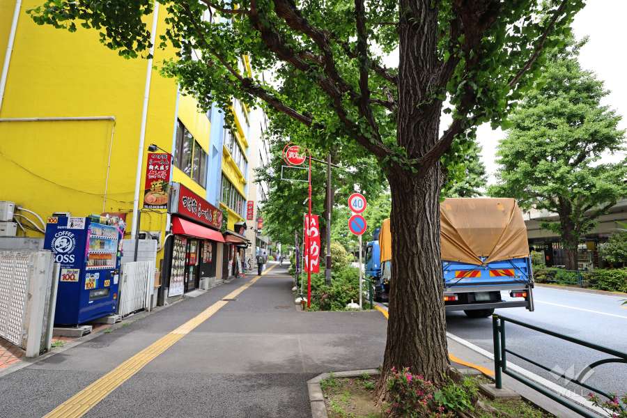 敷地北西側の前面道路