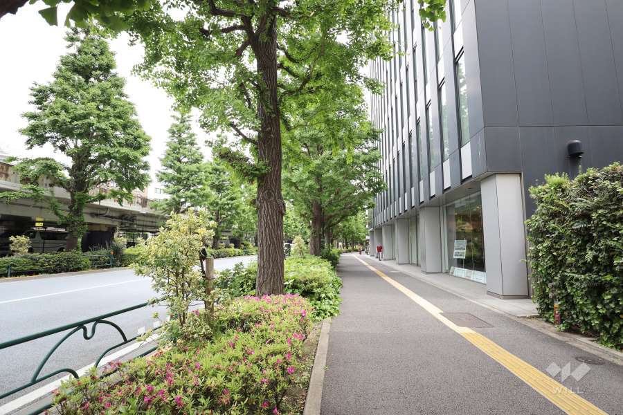 敷地北東側の前面道路