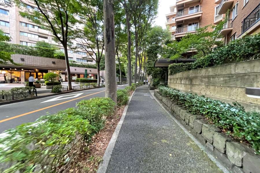 敷地西側の前面道路