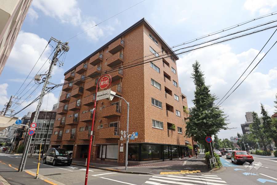 原宿ニュースカイハイツアネックスの外観（南西側から）