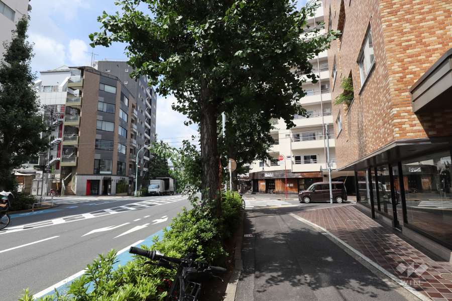 敷地南側の前面道路（東側から）