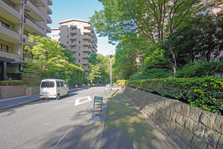 敷地北側の前面道路（西側から）