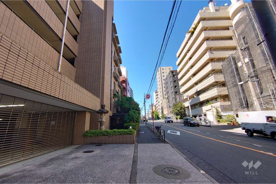 敷地北東側の前面道路（南東側から）
