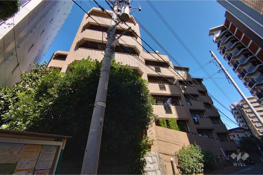 フォレストヒルズの外観（南西側から）