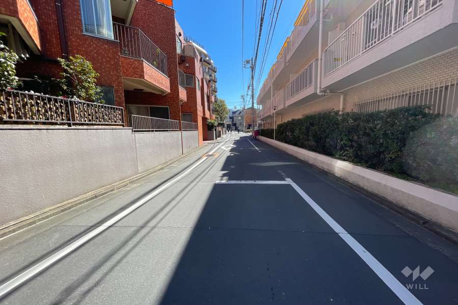 敷地南西側の前面道路（北西側から）