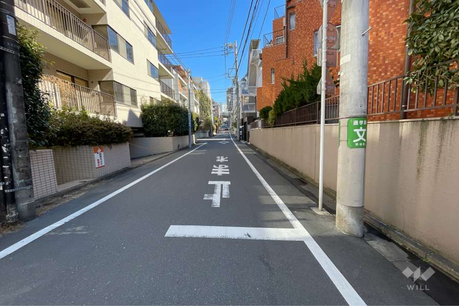 敷地北西側の前面道路（南西側から）