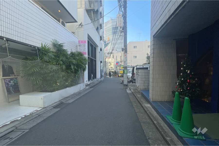 敷地南東側の前面道路（北東側から）