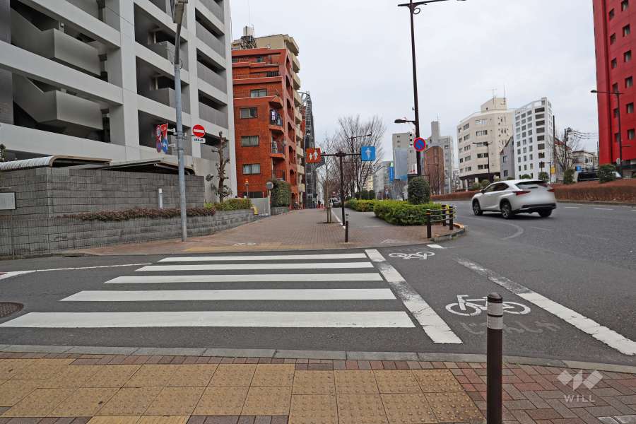 敷地西側の前面道路（北側から）