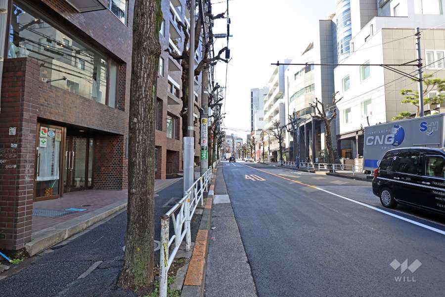 敷地西側の前面道路（北側から）