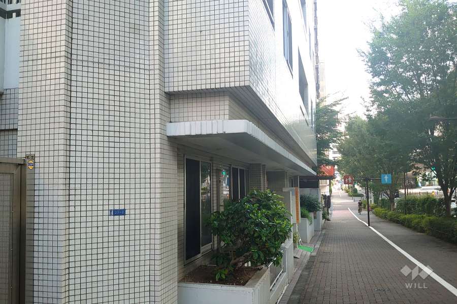 敷地西側の前面道路（北側から）