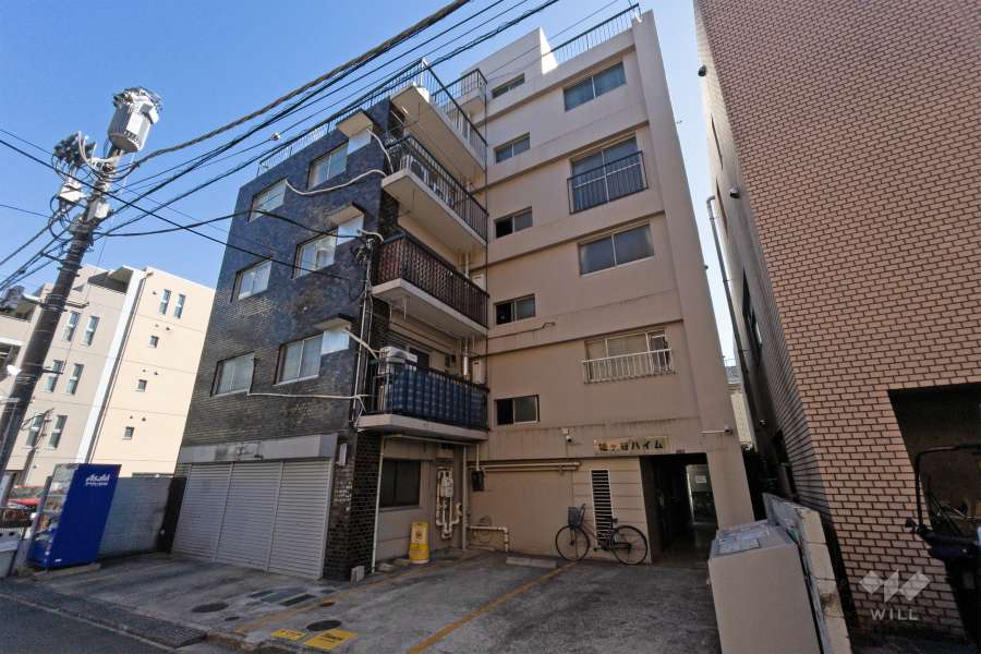 幡ヶ谷ハイムの外観（北西側から）