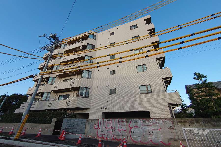 パーセル大山町の外観（南西側から）