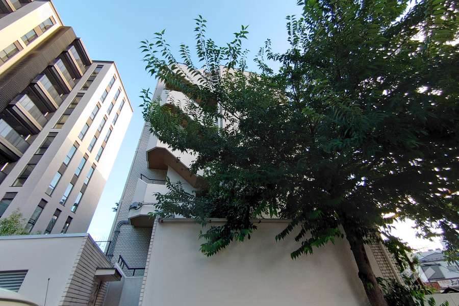 パーセル大山町の外観（北西側から）