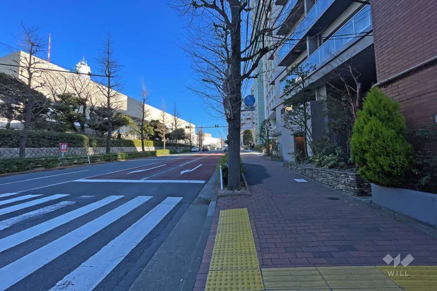 敷地北側の前面道路（西側から）
