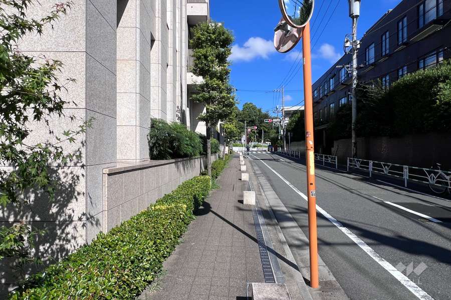 敷地の北東側前面道路（南東側から）
