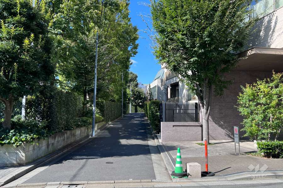 敷地の南東側前面道路（北東側から）
